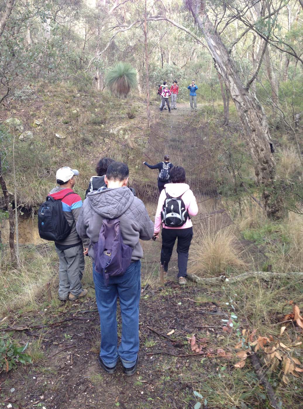 Pyrites creek & sugarloaf hike (58)