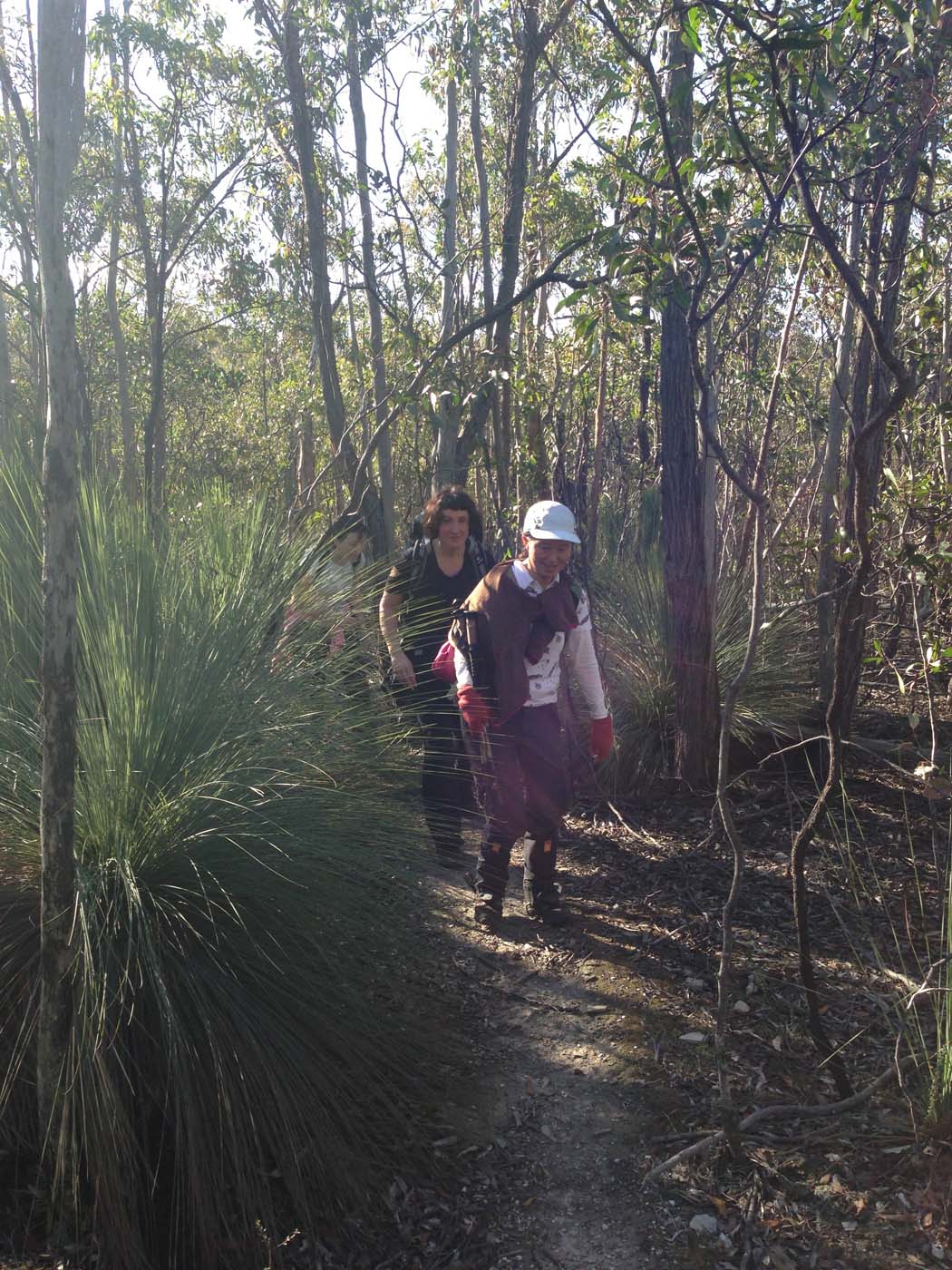 Pyrites creek & sugarloaf hike (68)