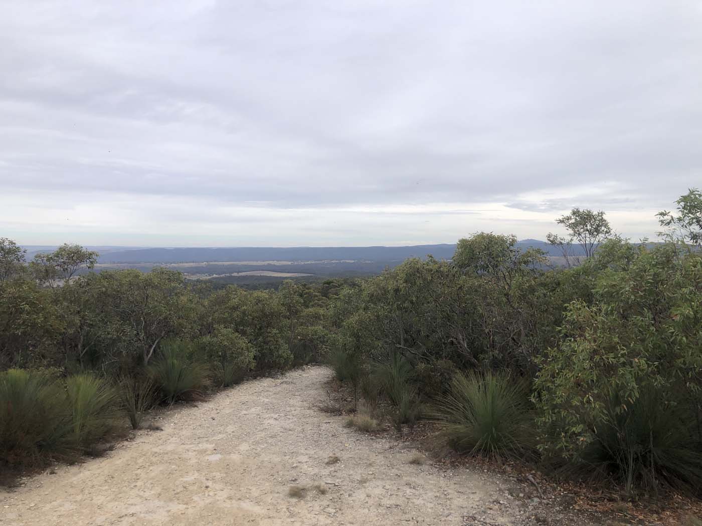 Pyrites creek & sugarloaf hike (81)