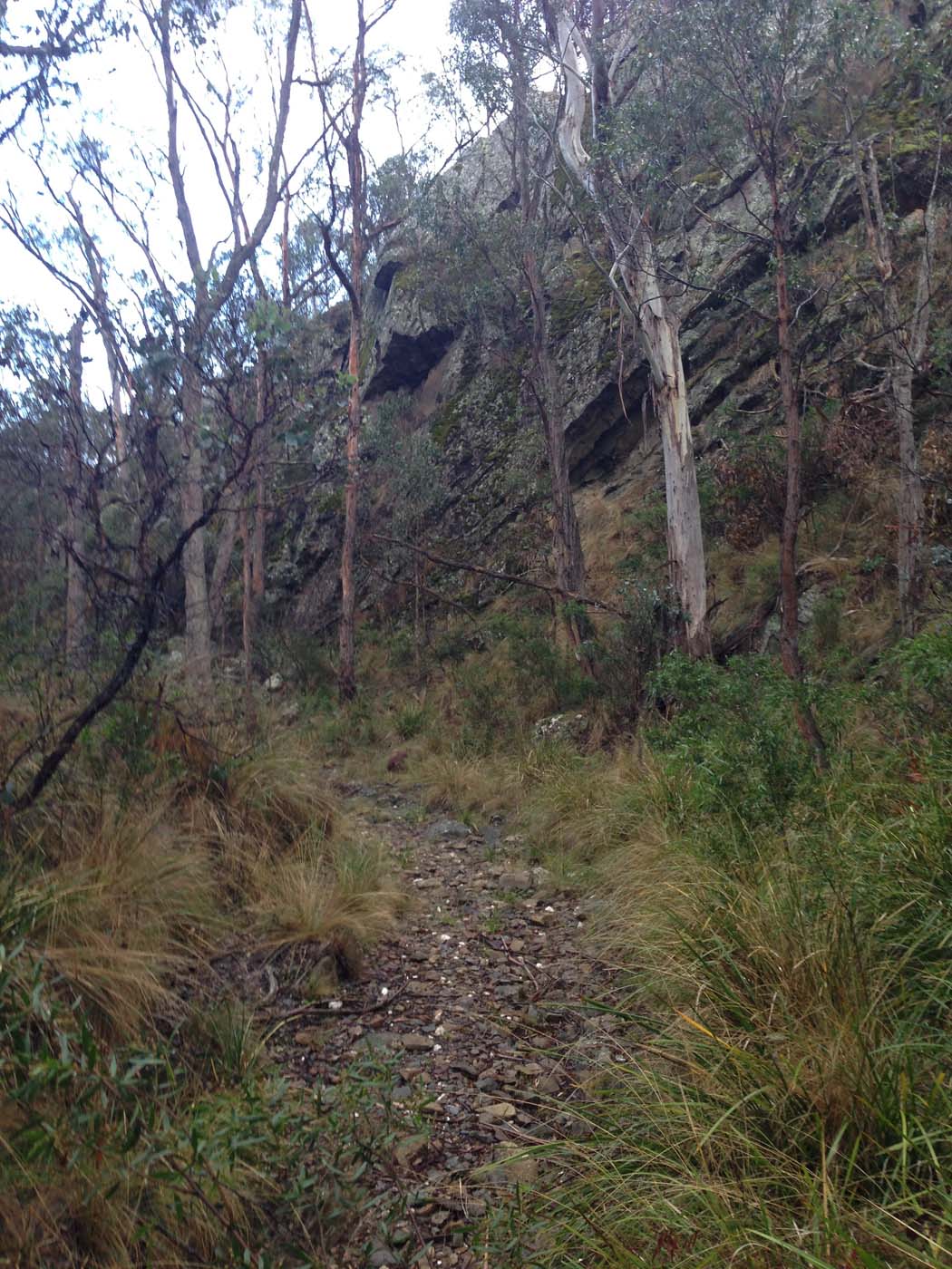 Pyrites creek & sugarloaf hike (84)