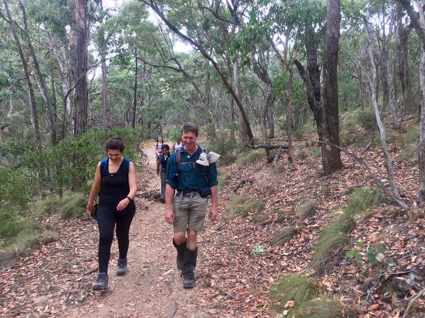 Pyrites creek circuit hike (1)