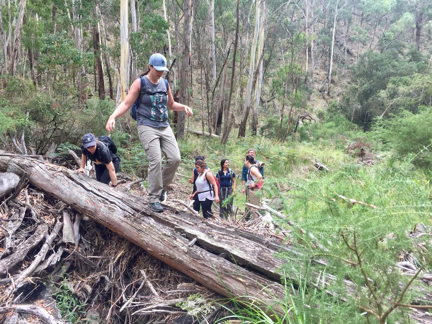 Pyrites creek circuit hike (10)