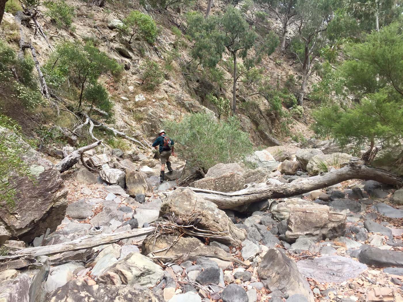 Pyrites creek circuit hike (14)