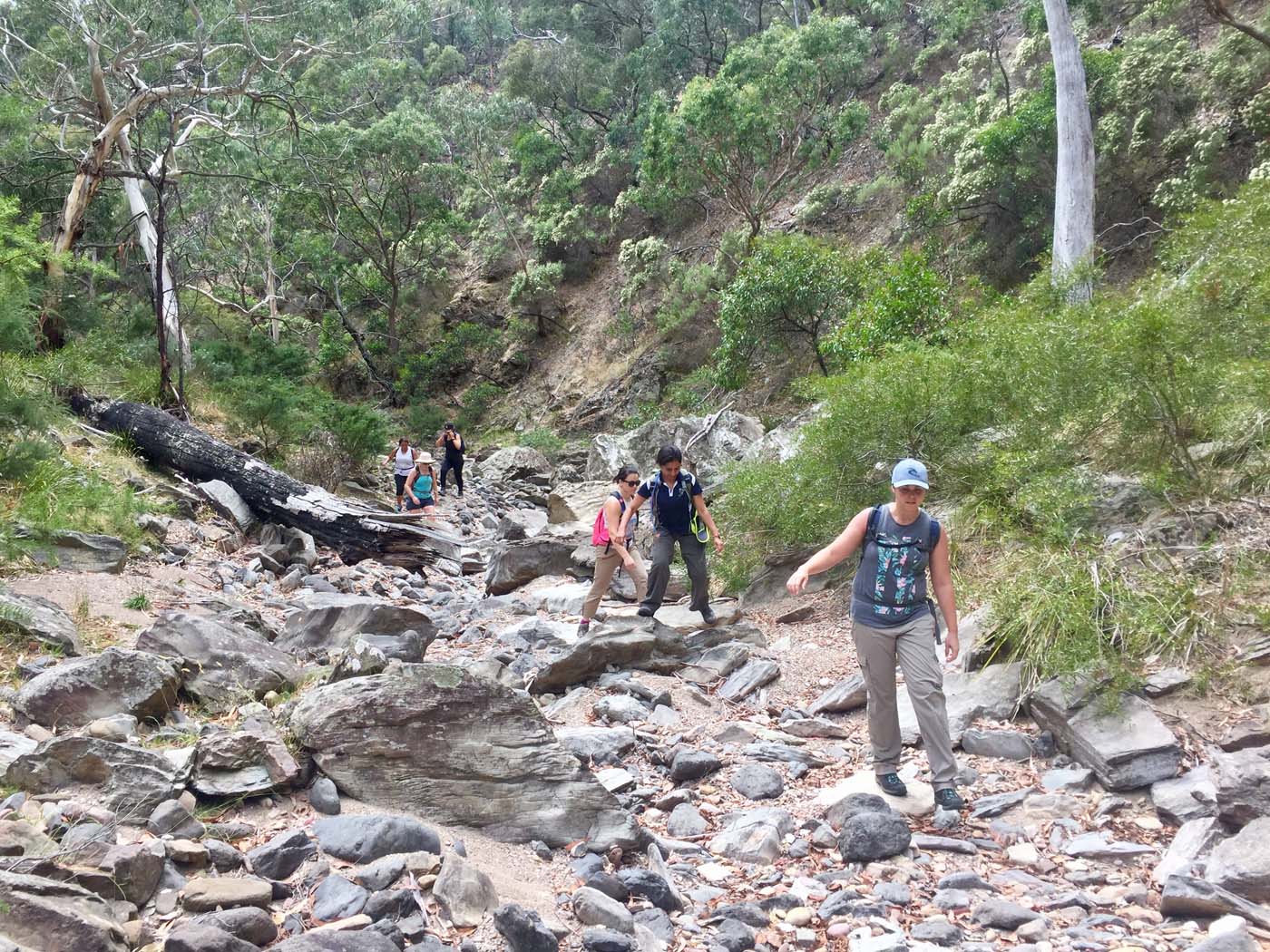 Pyrites creek circuit hike (15)
