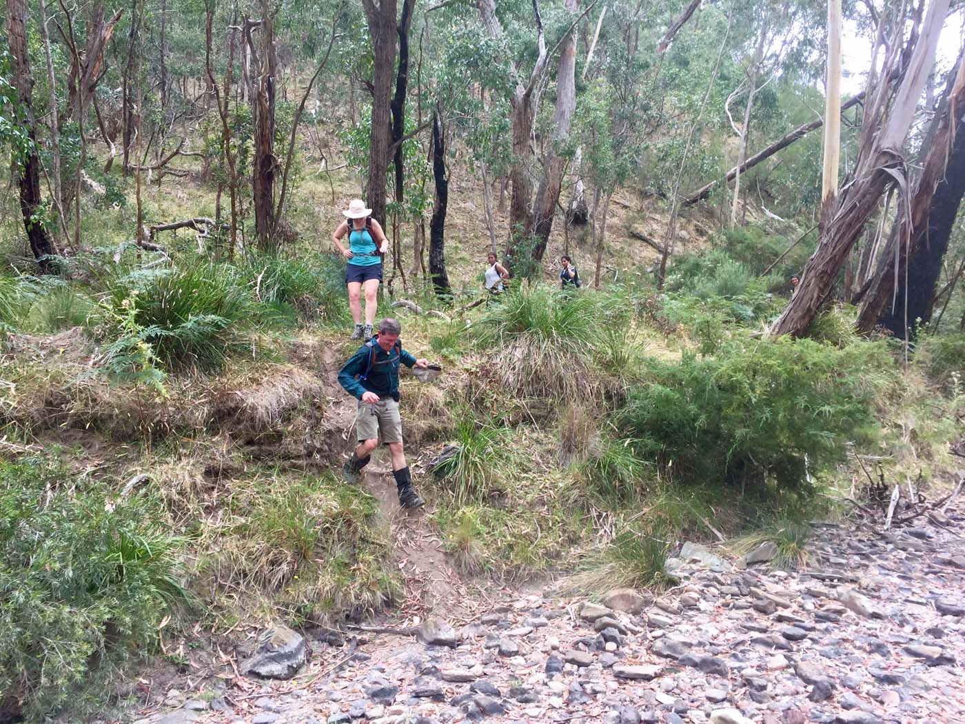 Pyrites creek circuit hike (16)