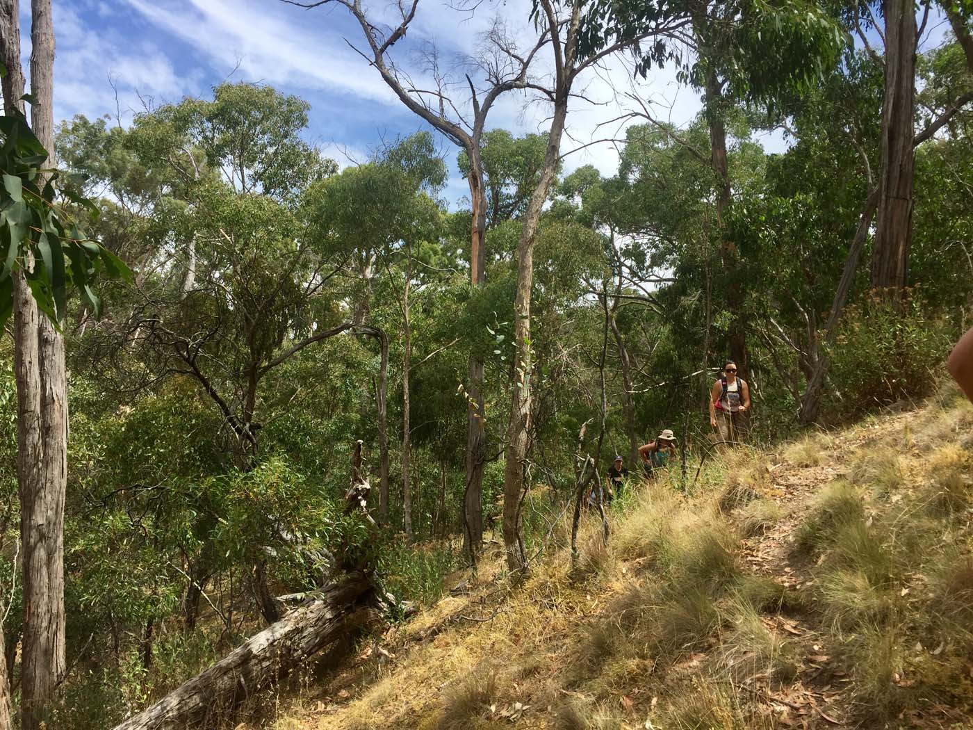 Pyrites creek circuit hike (18)