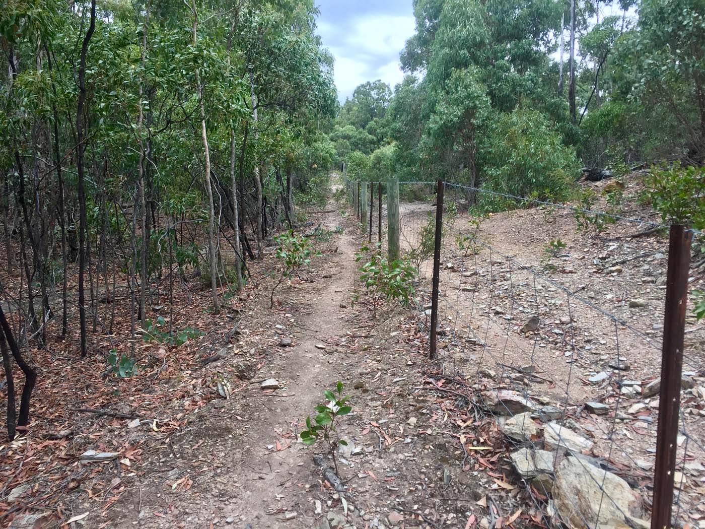 Pyrites creek circuit hike (19)