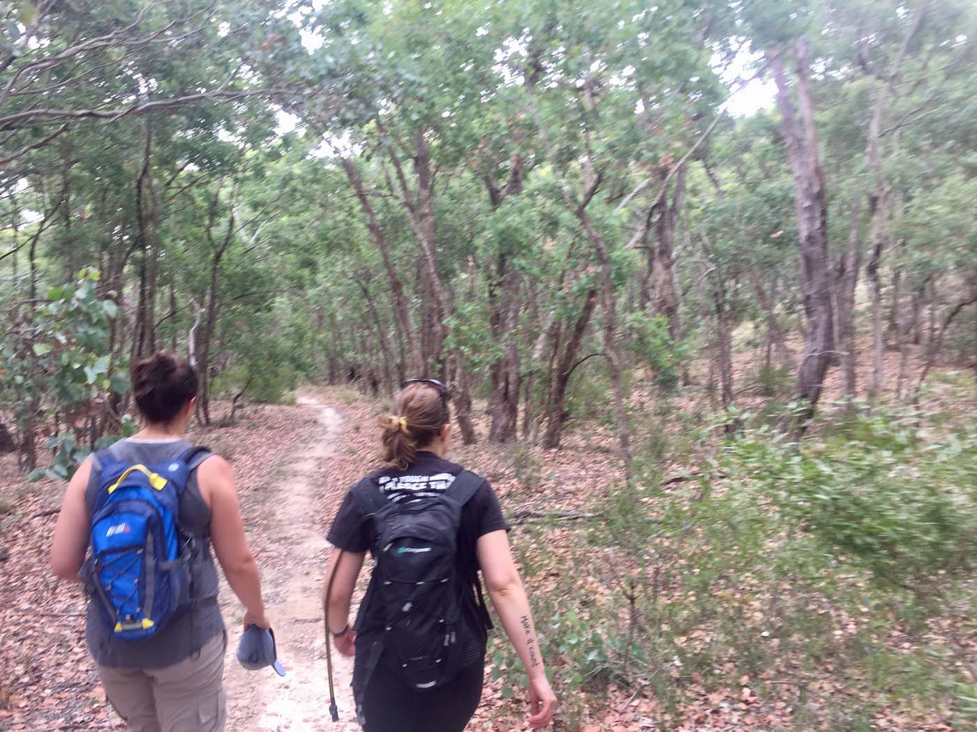 Pyrites creek circuit hike (2)