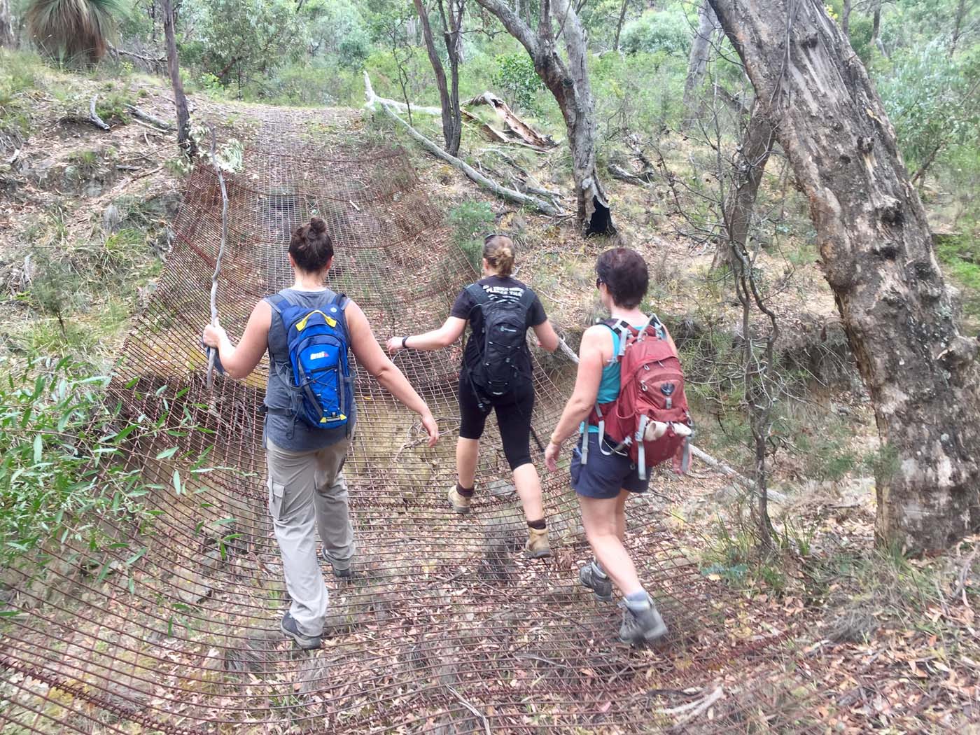 Pyrites creek circuit hike (3)
