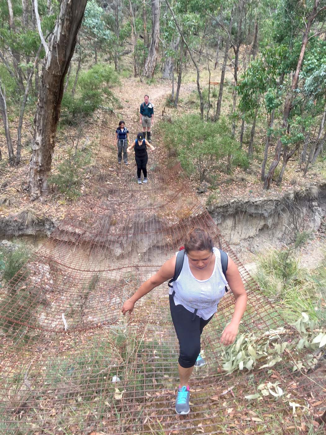 Pyrites creek circuit hike (4)