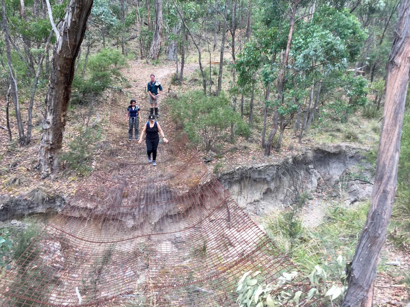 Pyrites creek circuit hike (5)