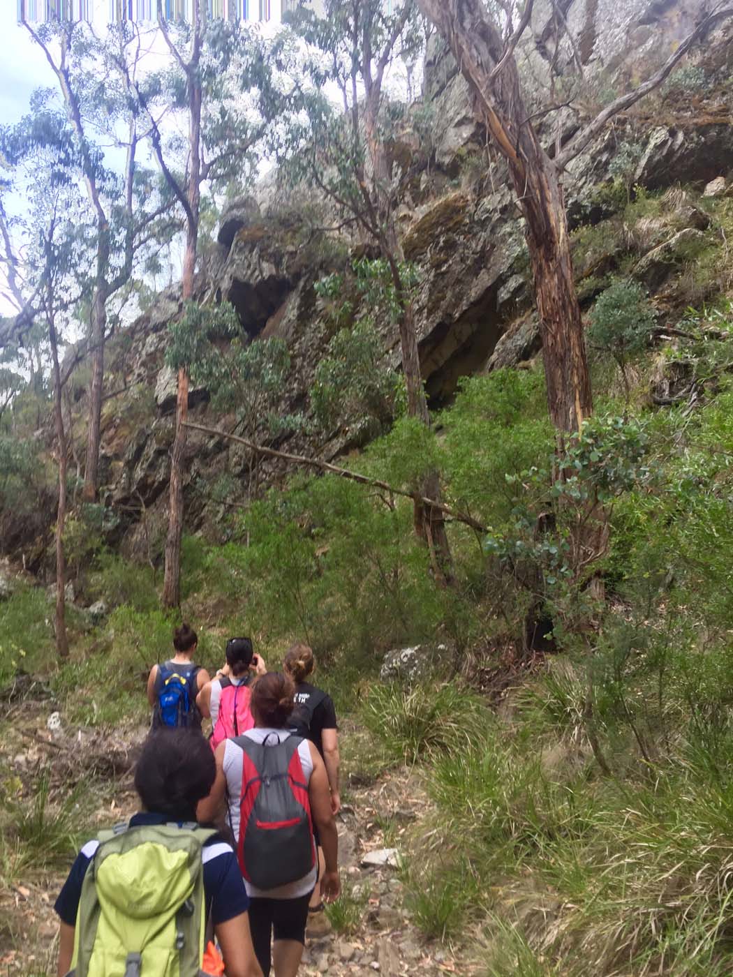 Pyrites creek circuit hike (6)
