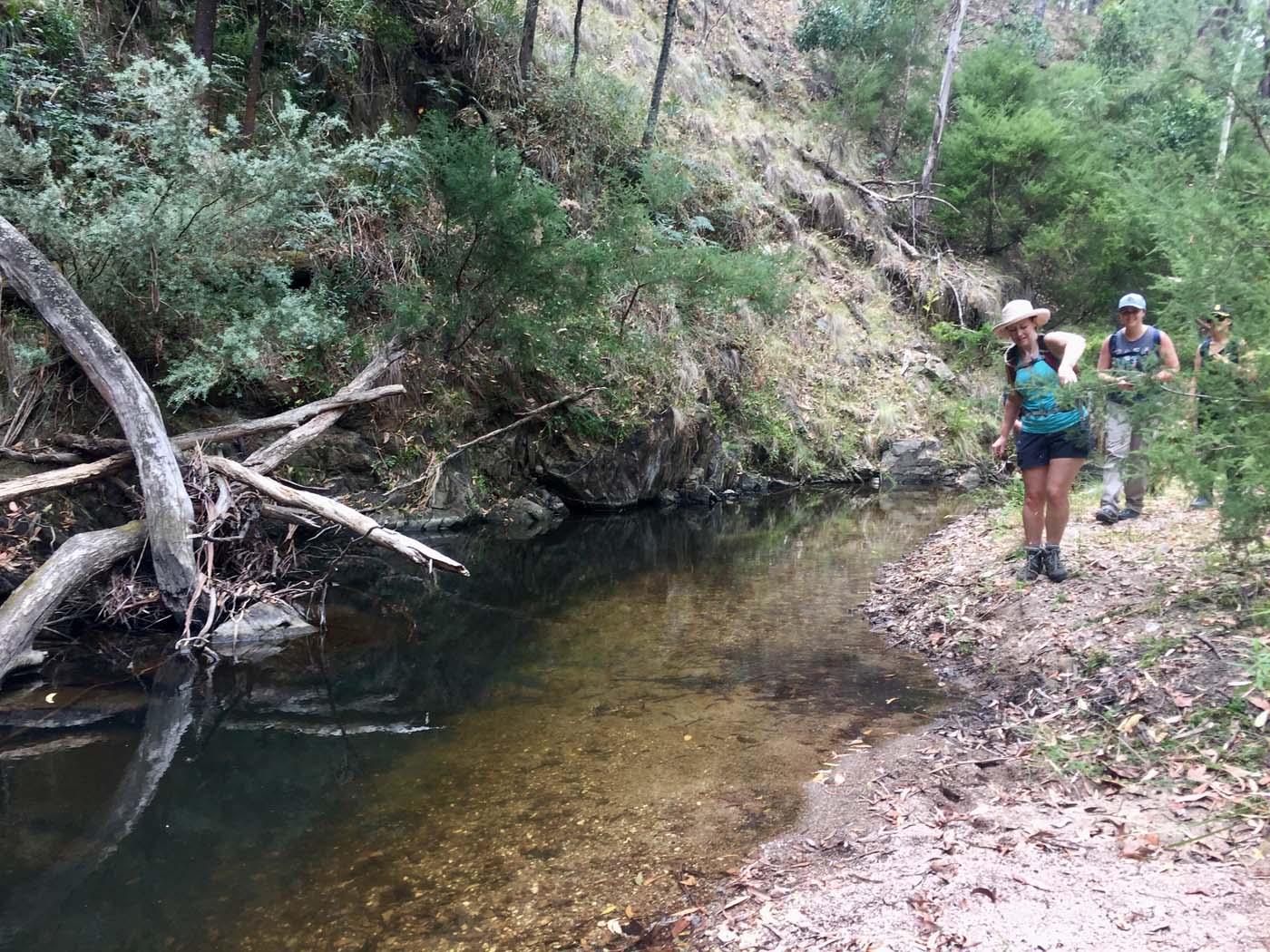 Pyrites creek circuit hike (9)