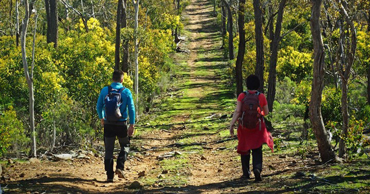 Quechua MH100 Hiking Fleece Review Quechua mh100 hiking fleece 1