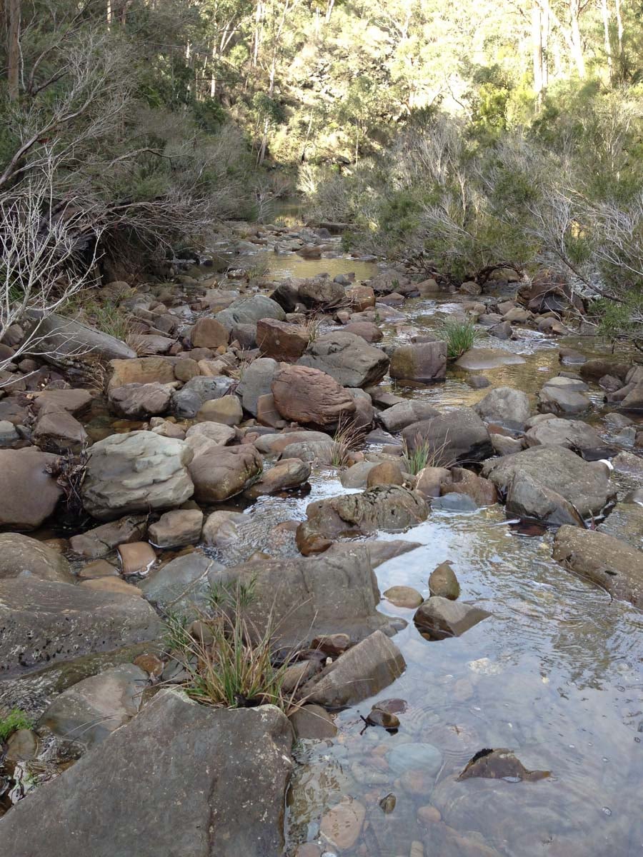 Razorback & ah kow spurs hike 20