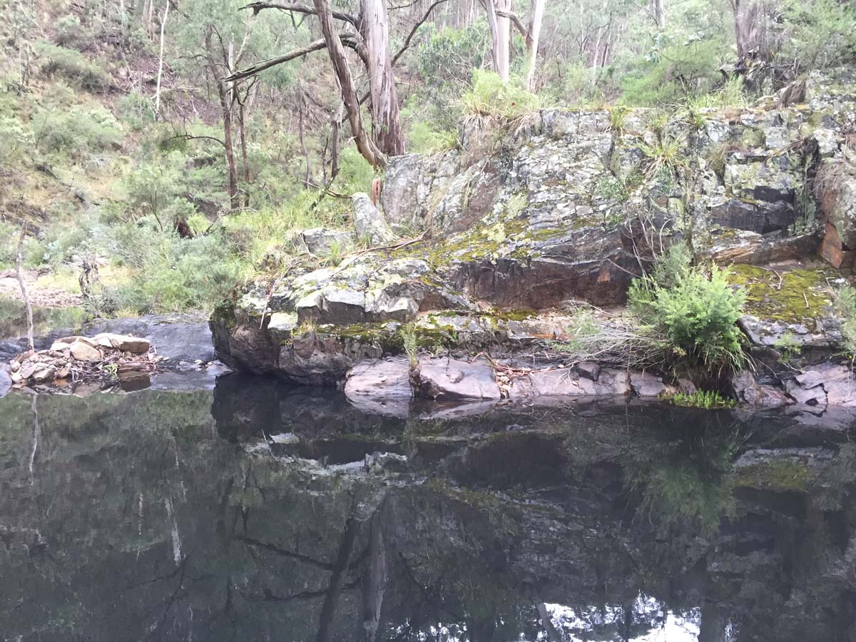 Razorback, chadwick & ah kow spurs hike 1
