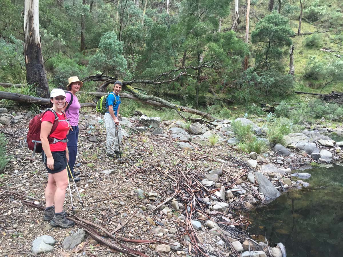 Razorback, chadwick & ah kow spurs hike 2