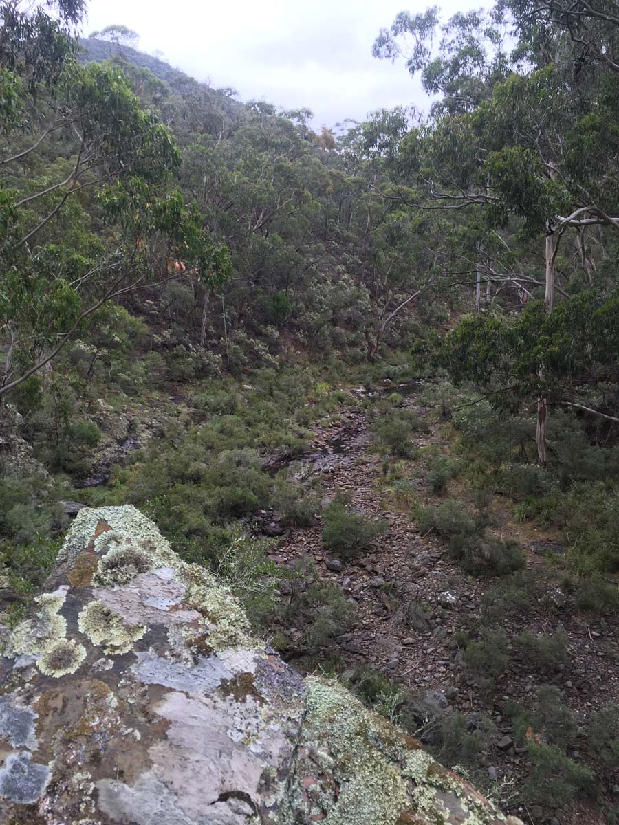 Razorback, chadwick & ah kow spurs hike 4
