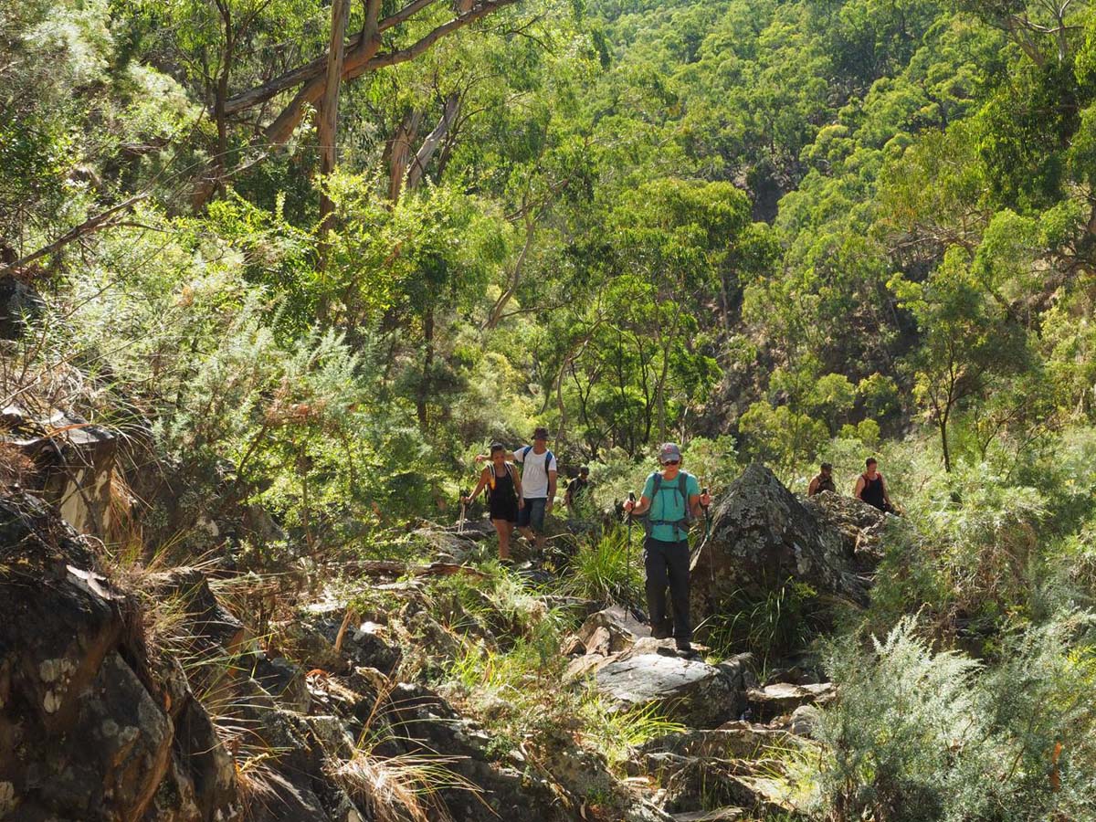 Razorback, lerderderg & lower chadwick circuit hike 22