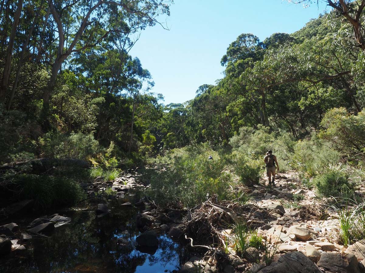 Razorback, lerderderg & lower chadwick circuit hike 5