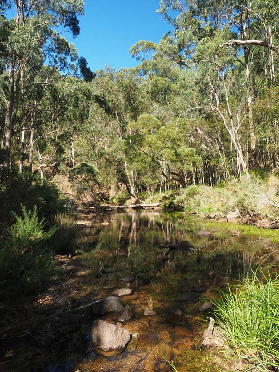 Razorback, lerderderg & lower chadwick circuit hike 6