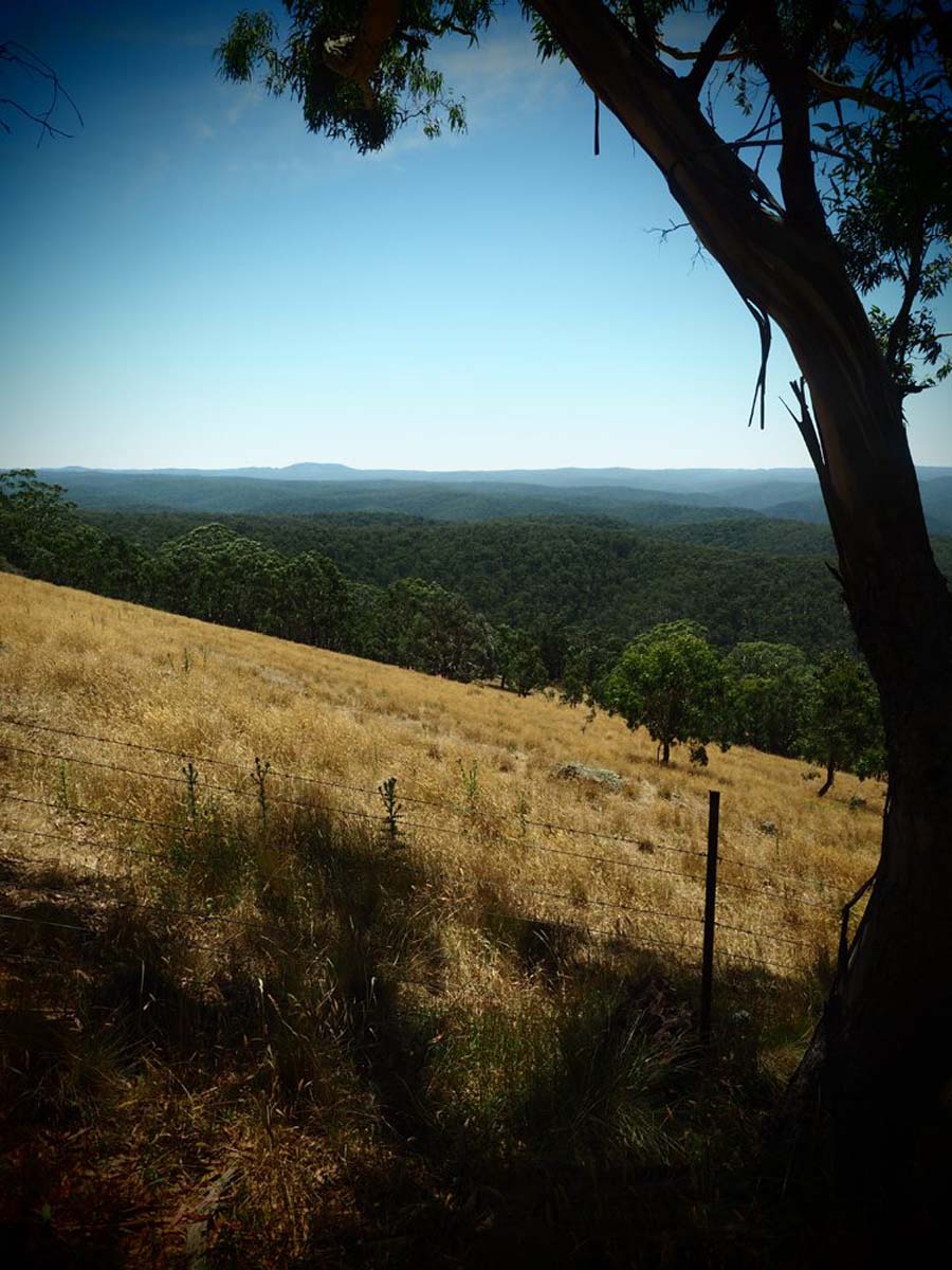 Razorback, lerderderg & lower chadwick circuit hike 7