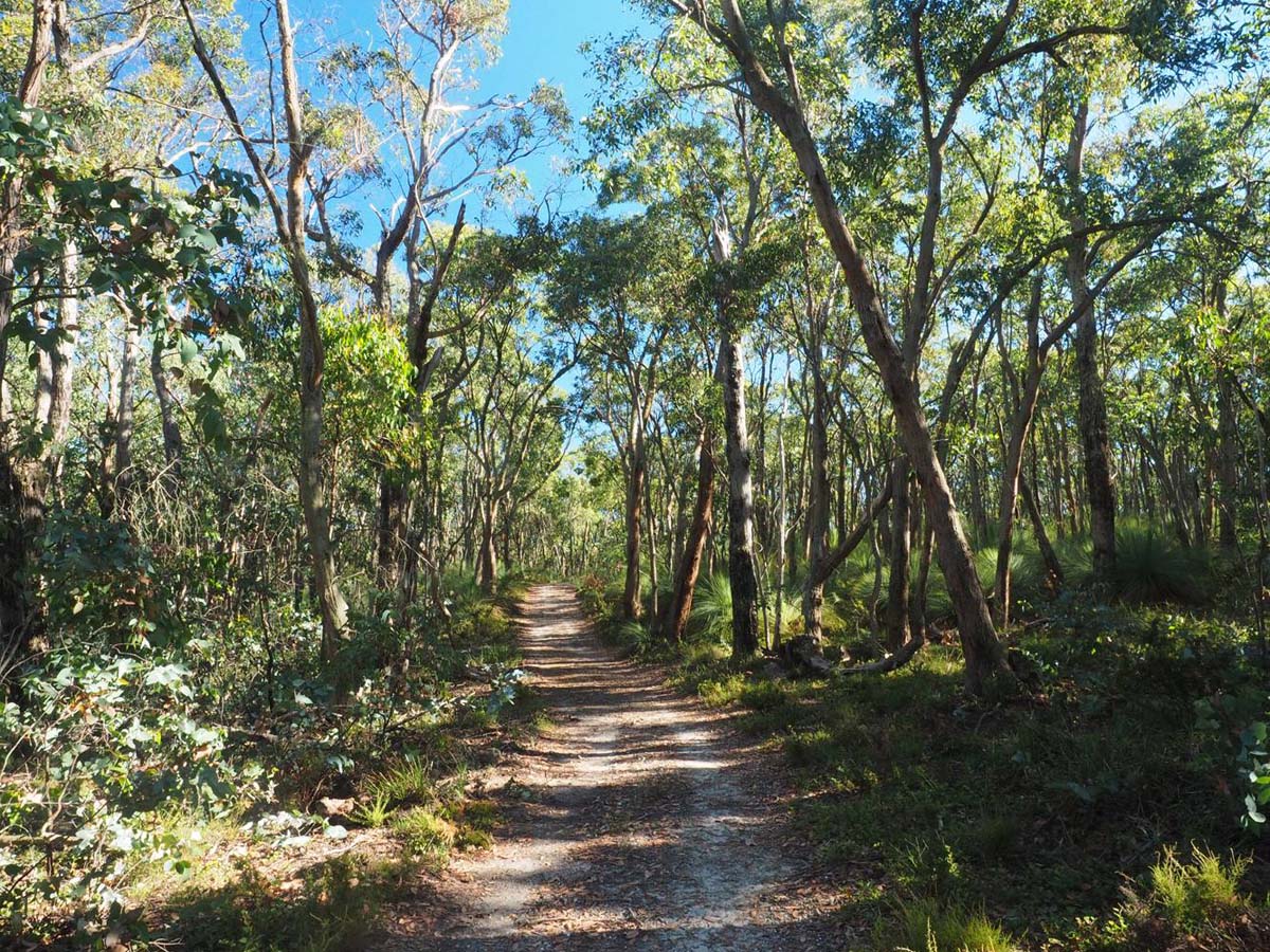 Razorback, lerderderg & lower chadwick circuit hike 8