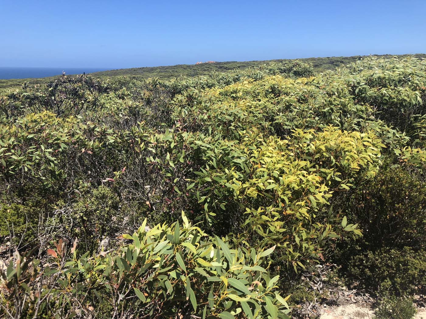 Remarkable rocks (22)