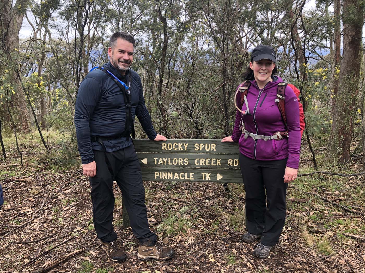 Rocky peak the pinnacle (10)
