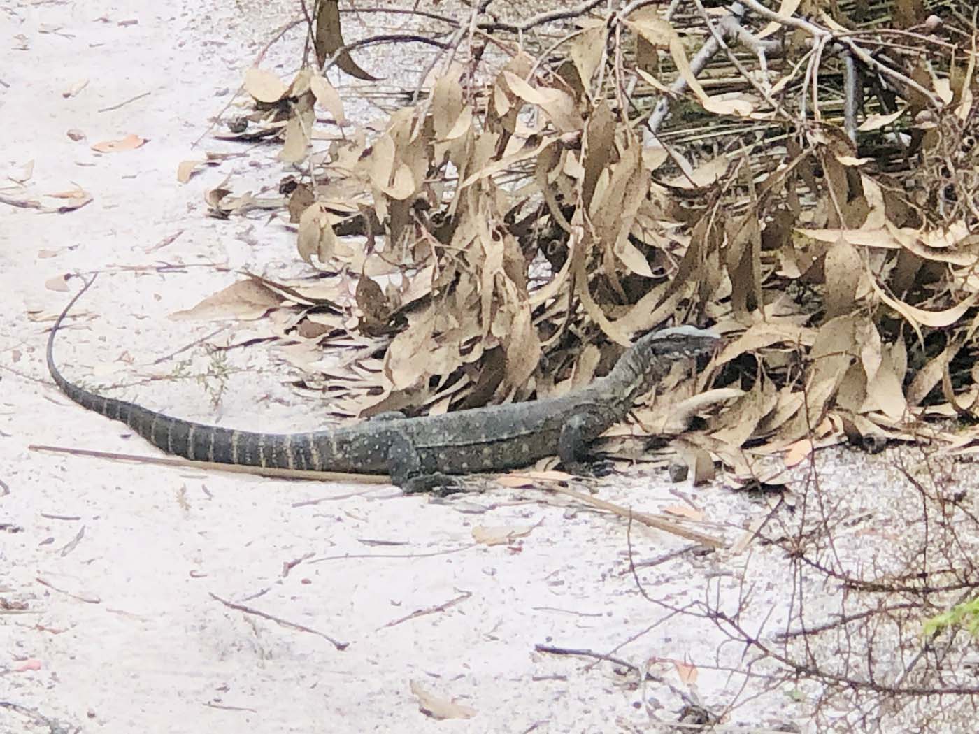 Rocky river hike (19)