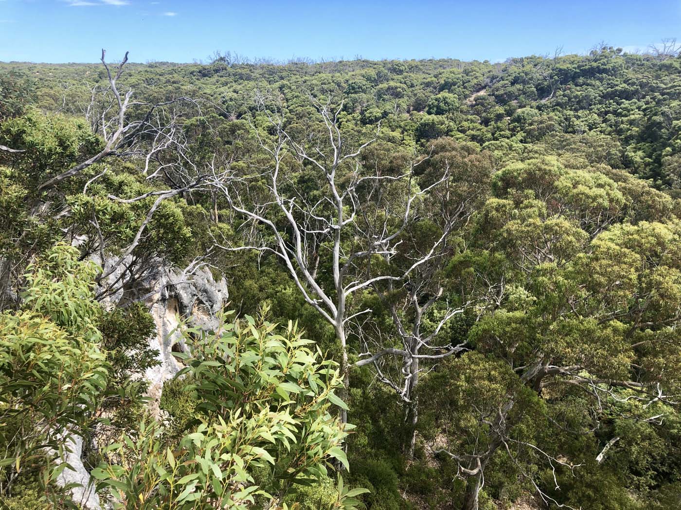 Rocky river hike (20)