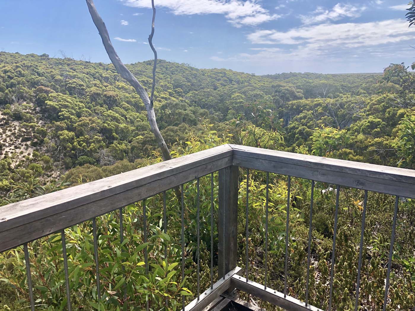 Rocky river hike (21)