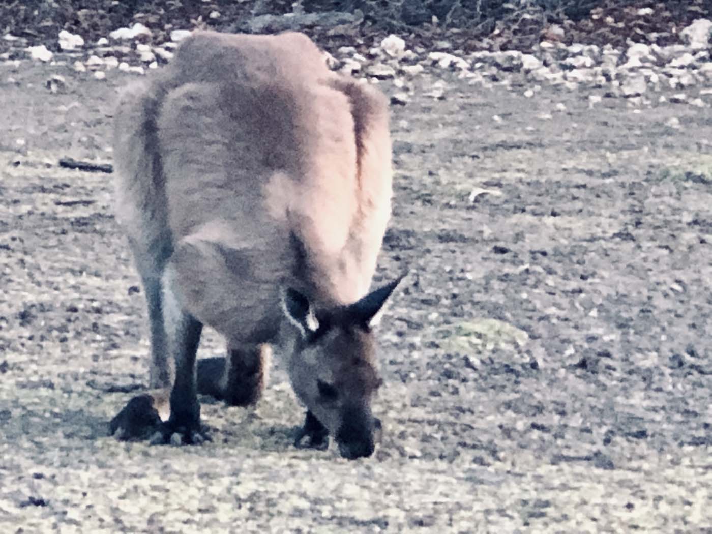Rocky river hike (26)