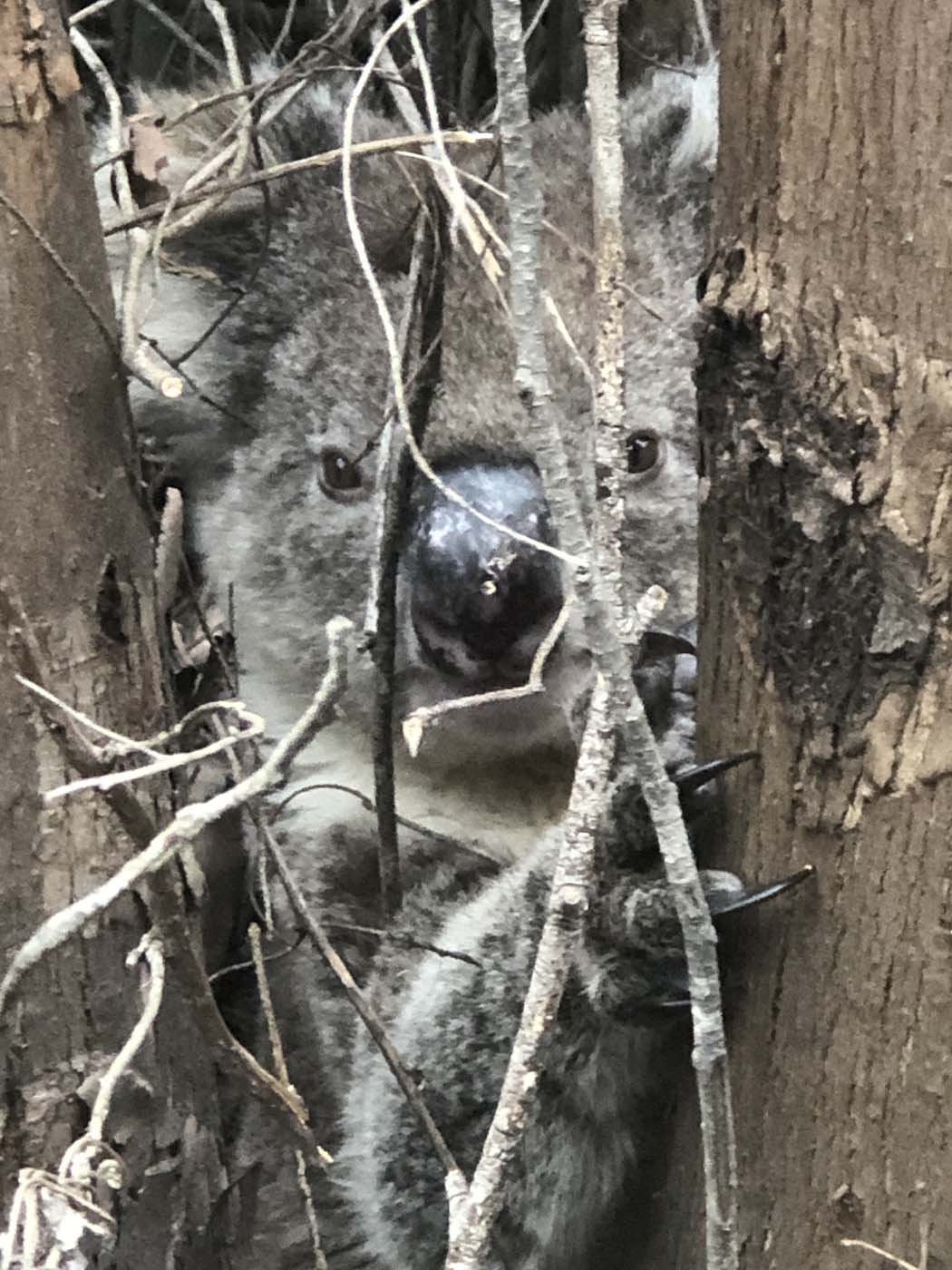 Rocky river hike (6)