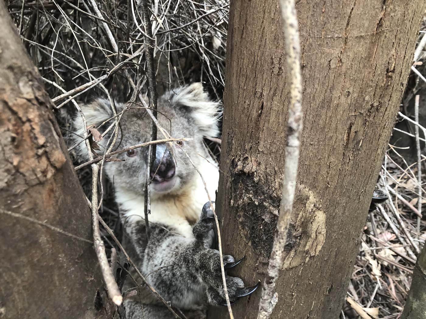 Rocky river hike (7)