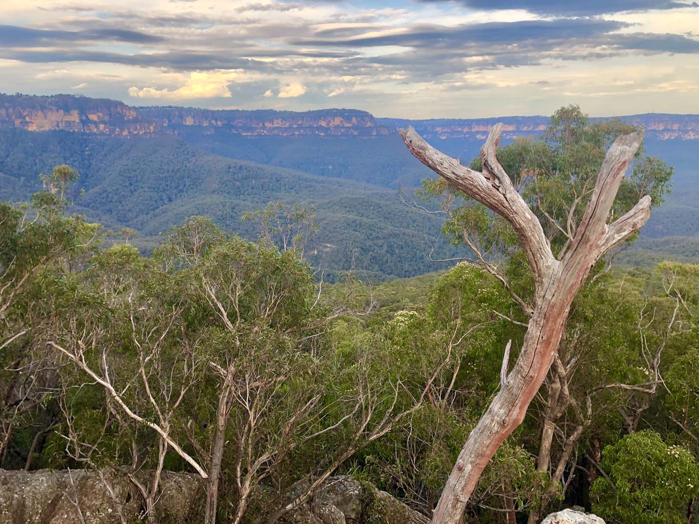 Ruined castle walking track (10)