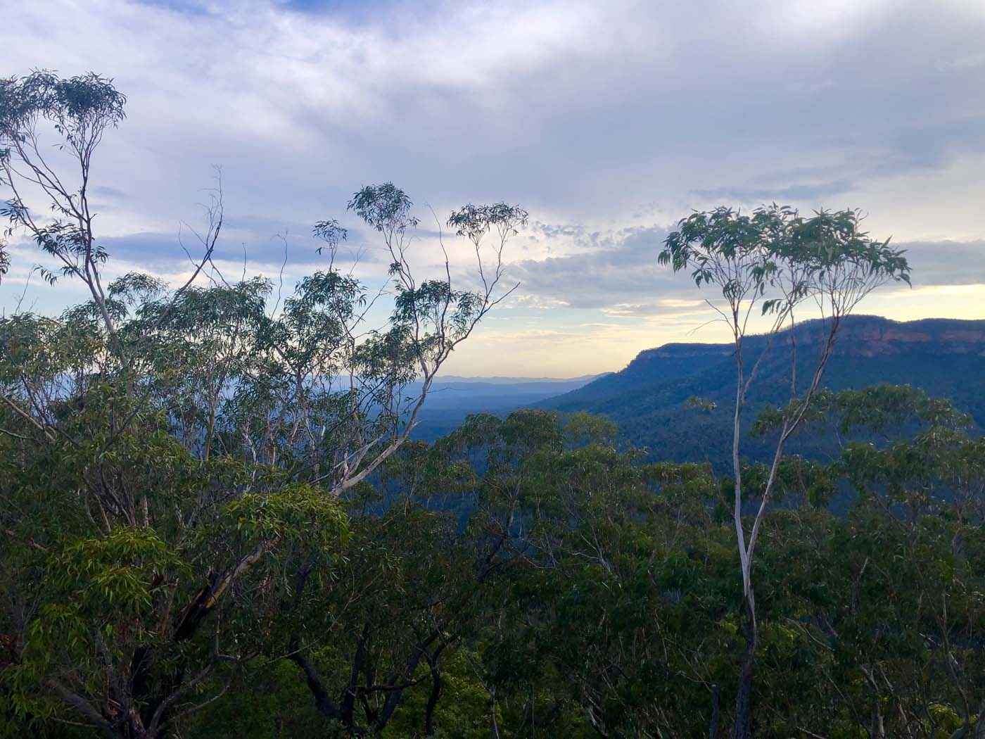 Ruined castle walking track (12)