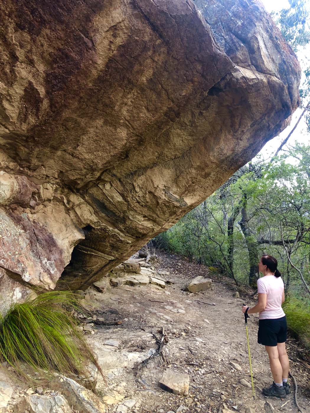 Ruined castle walking track (9)