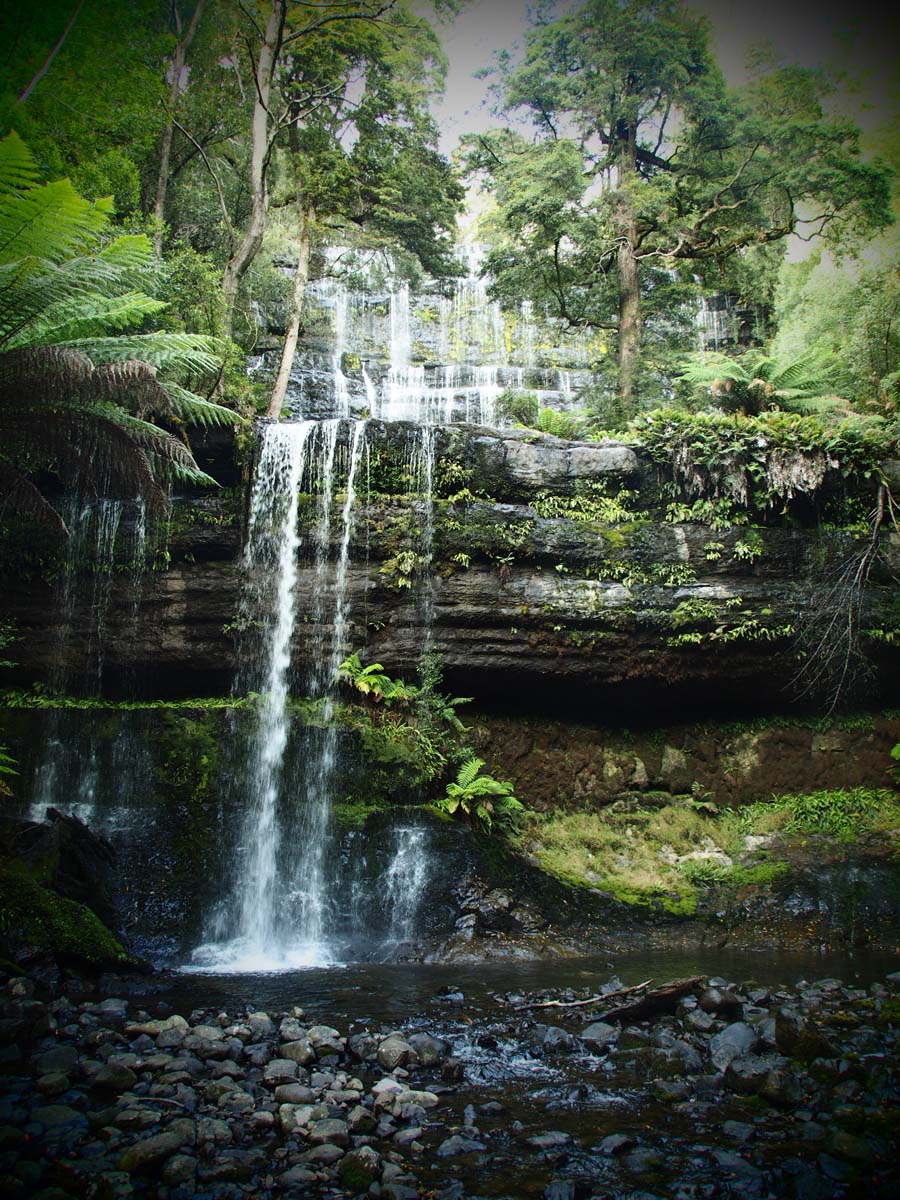 Russell falls track 3