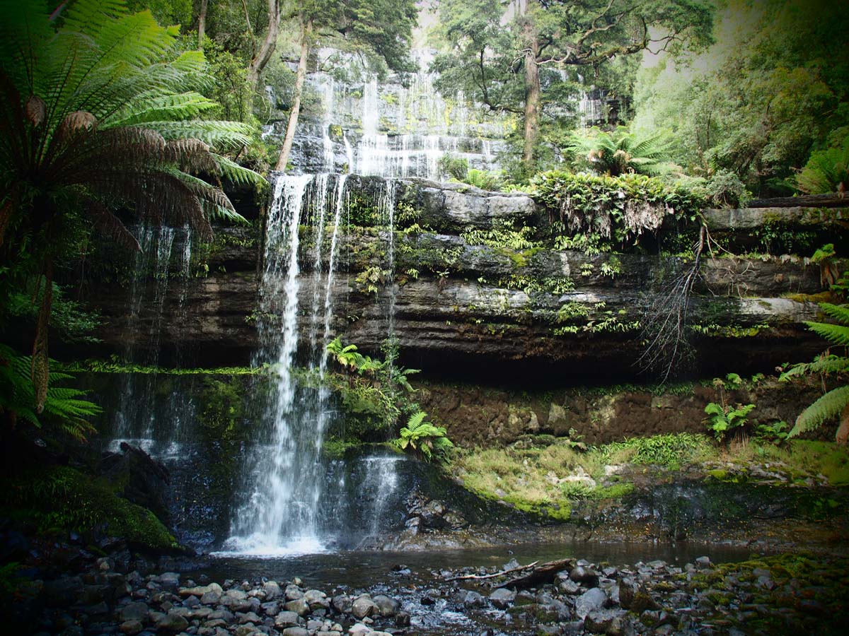 Russell falls track 4