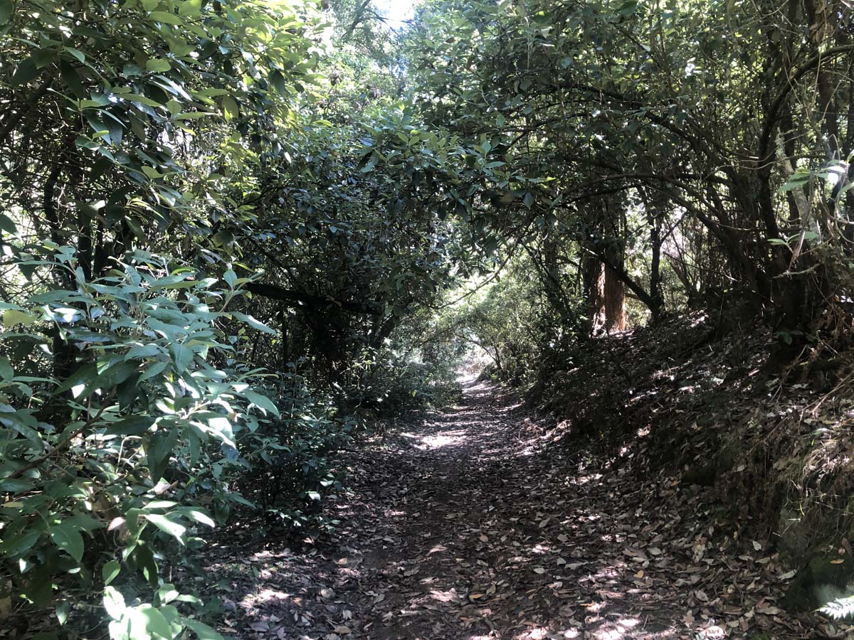 Ruths gully byers back track 1