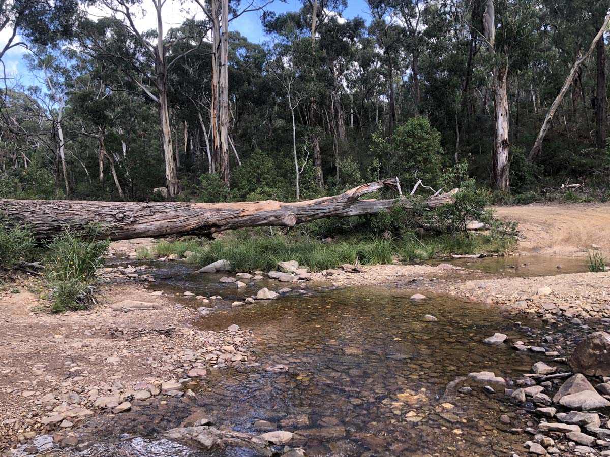 Ruths gully byers back track 12