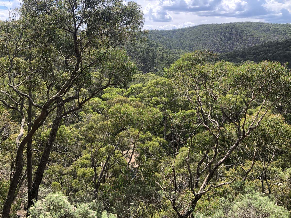 Ruths gully byers back track 15