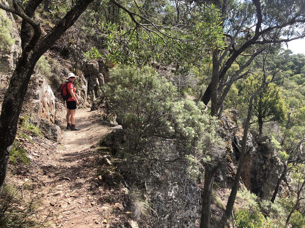Ruths gully byers back track 16