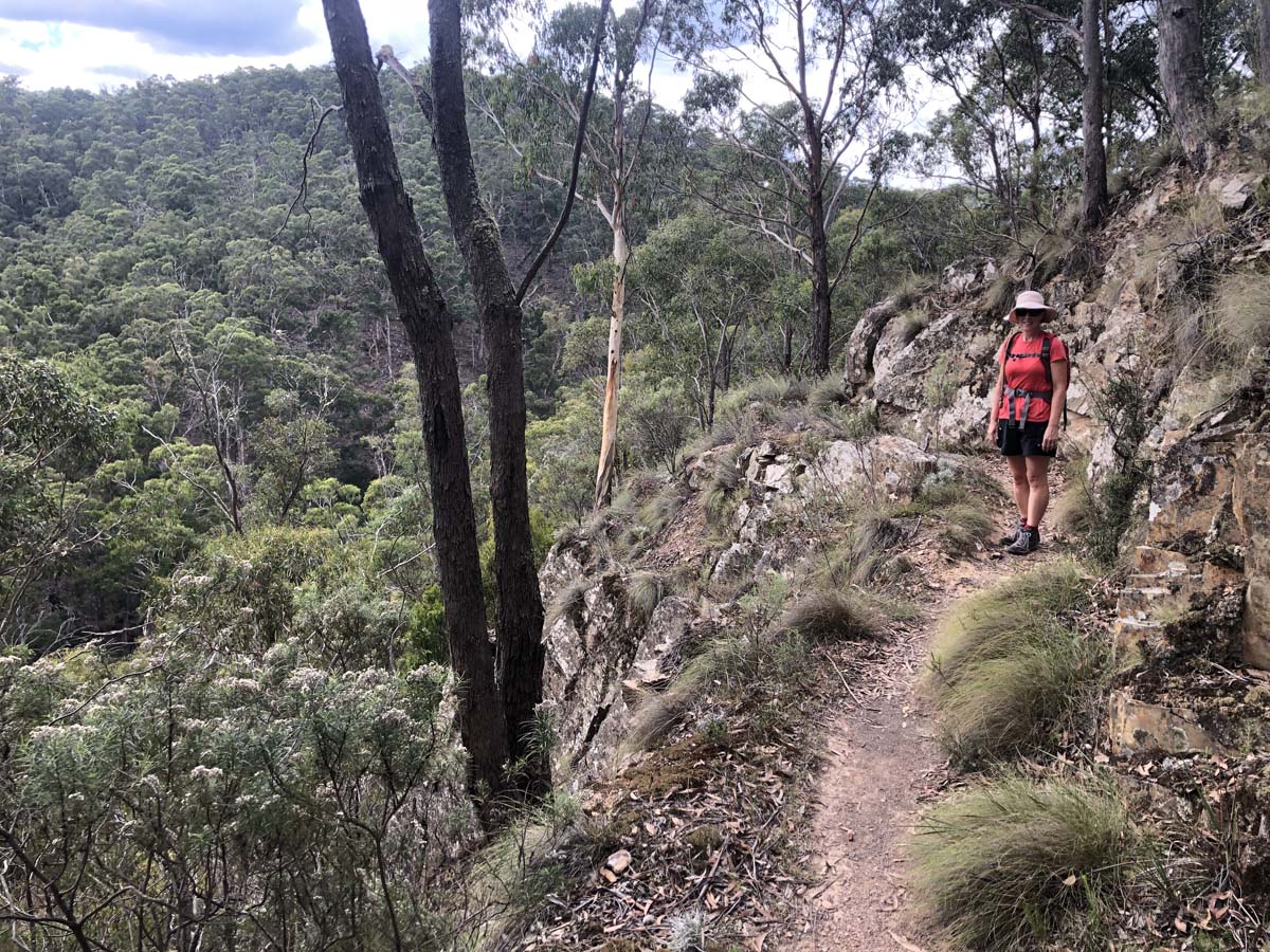 Ruths gully byers back track 22