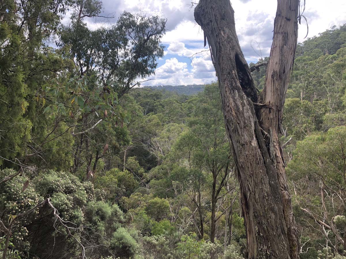 Ruths gully byers back track 23