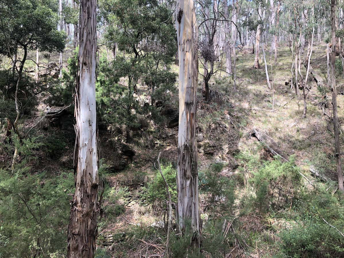 Ruths gully byers back track 25