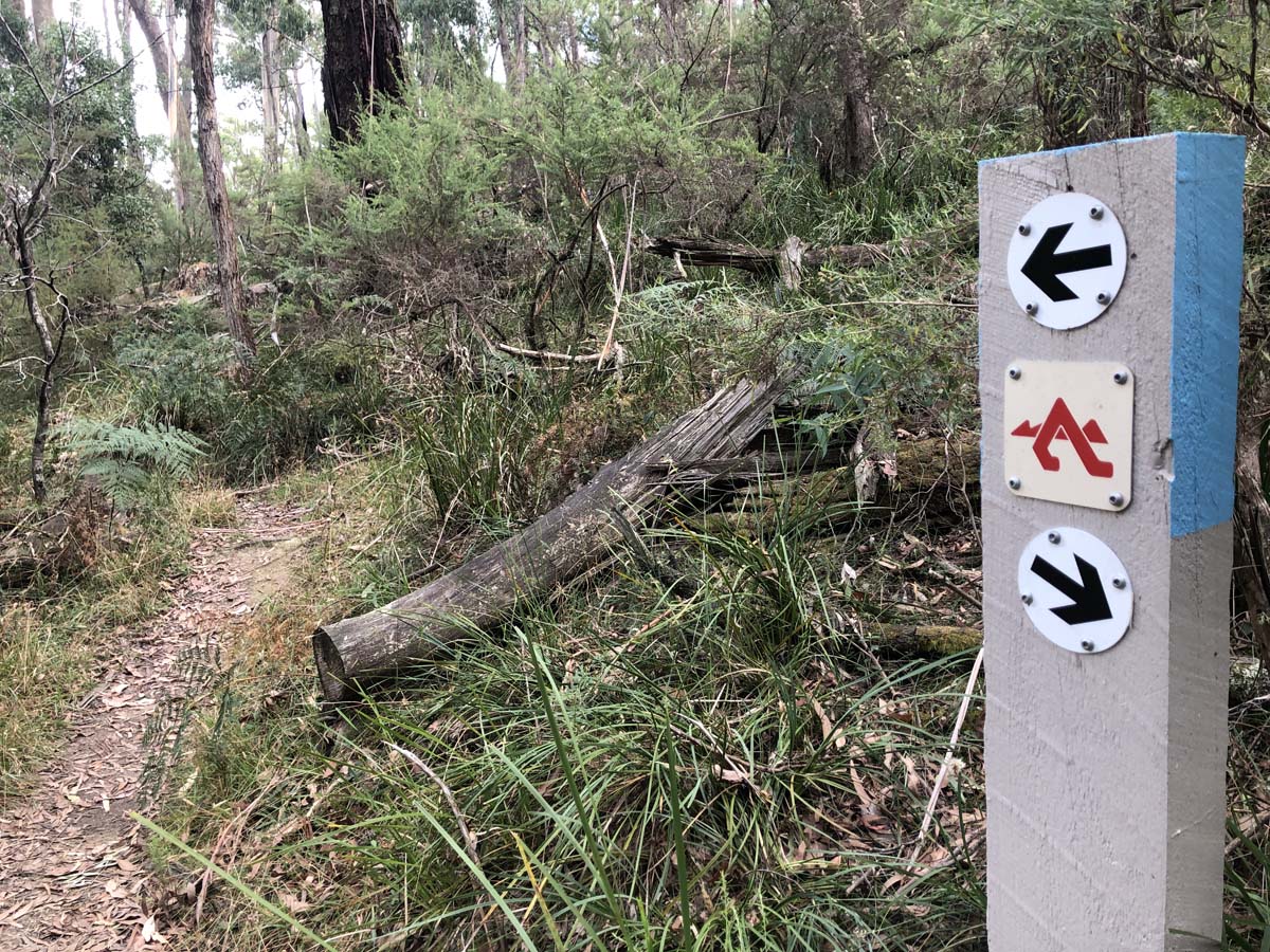 Ruths gully byers back track 26