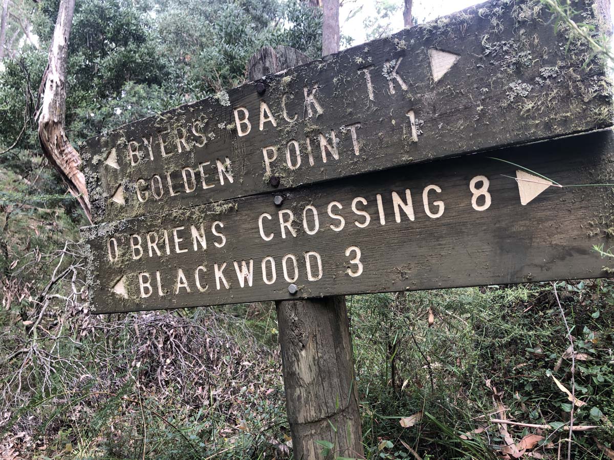 Ruths gully byers back track 28