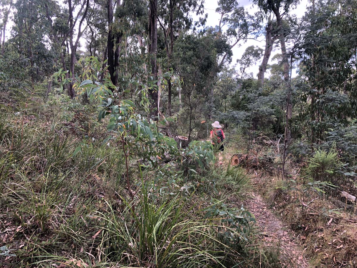 Ruths gully byers back track 29